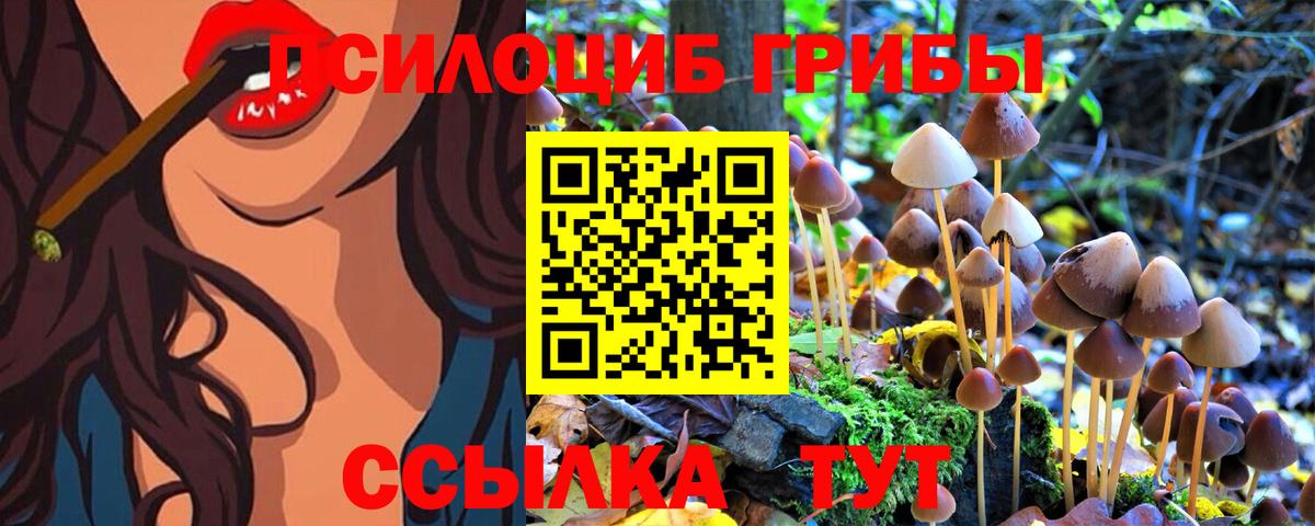 Галлюциногенные грибы мицелий Шахты